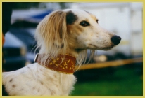 hier klicken zur Groansicht!