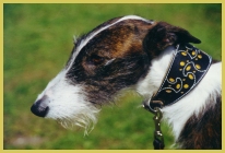 hier klichen zur Groansicht!