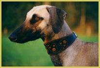 hier klicken zur Groansicht!