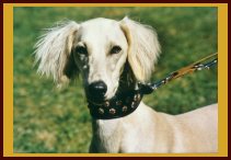 klick here for larger View !